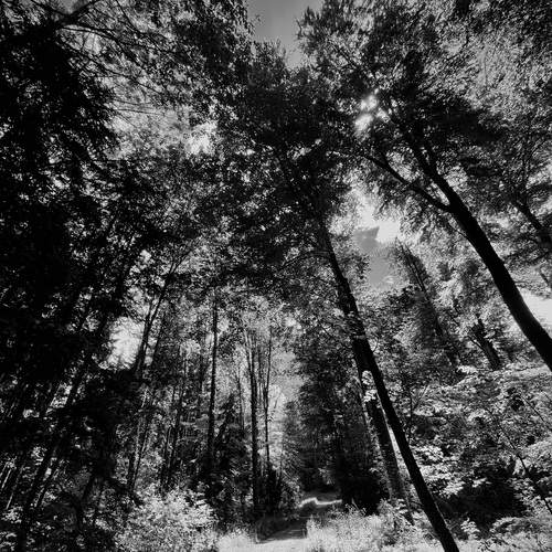 Photo #11997553