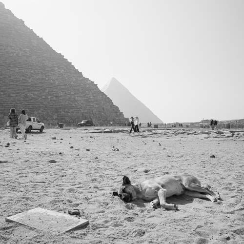 Фотография #11997628