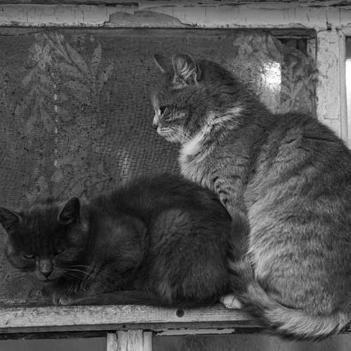 Фотография #11997629