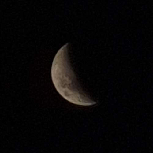 Photo #11997680
