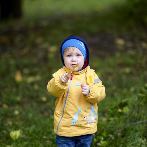 Photo #11997750