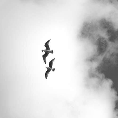 Фотография #11998022