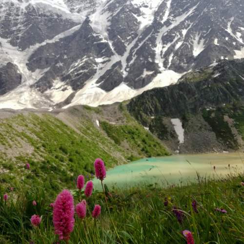 Photo #11998552