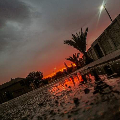 Photo #11998630