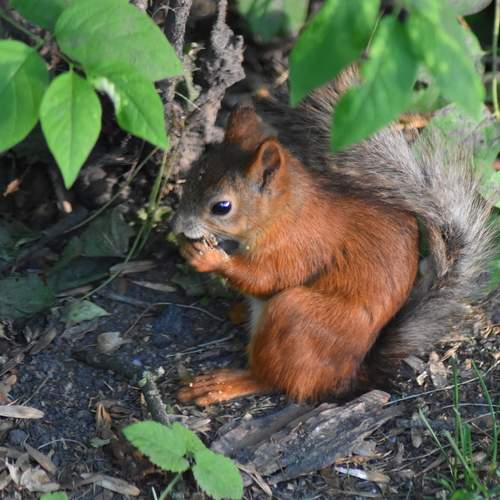 Photo #11998883