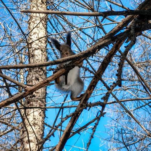 Photo #11999151