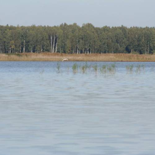 Photo #11999344