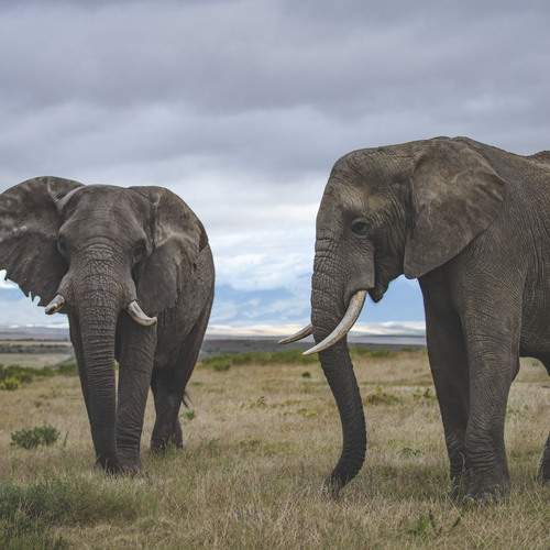 Photo #11999444