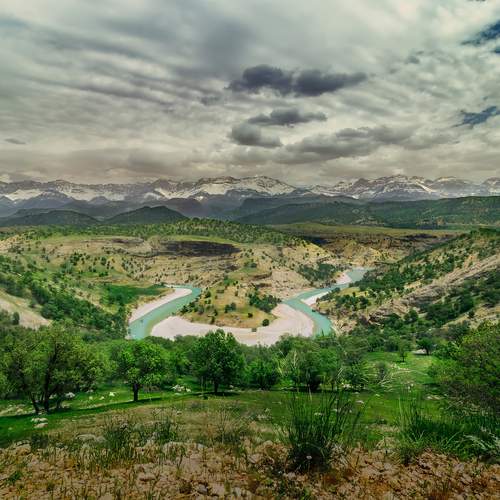 Photo #11999465