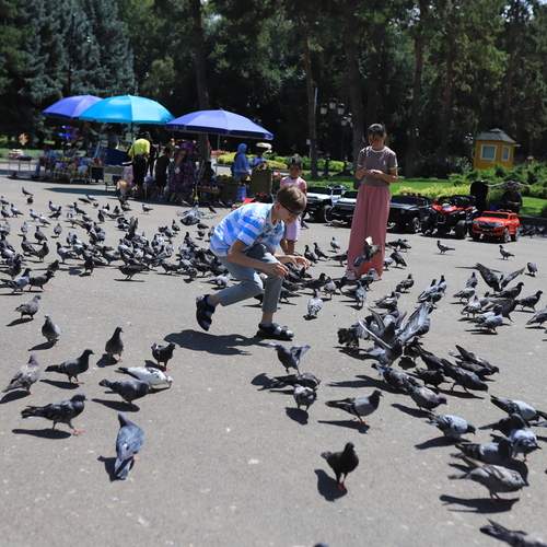 Photo #11999576
