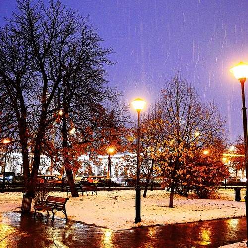 Photo #11999579