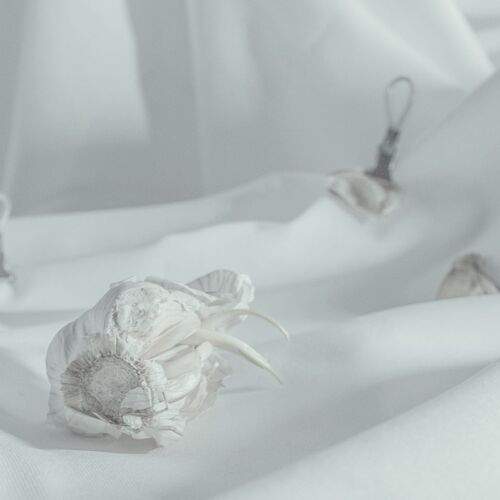 Photo #11999664