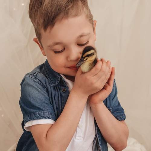 Photo #11999795