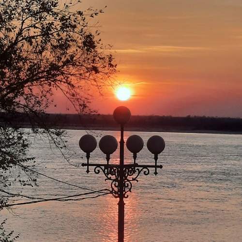 Photo #11999925