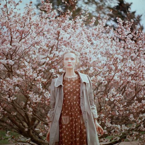 Photo #1200282