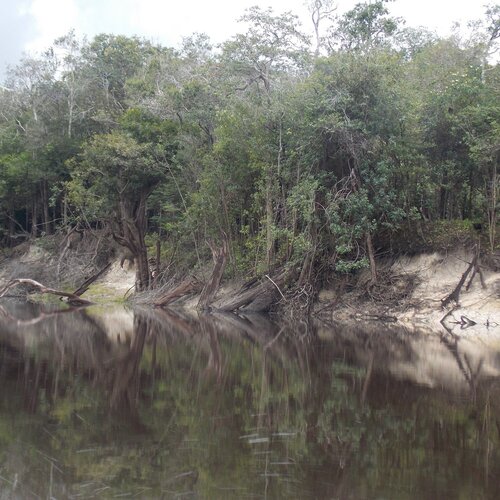 AMAZÔNIA