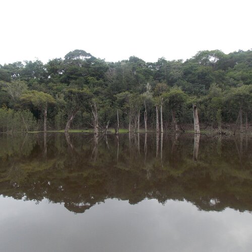 AMAZÔNIA