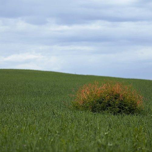 Красноярский край, лето