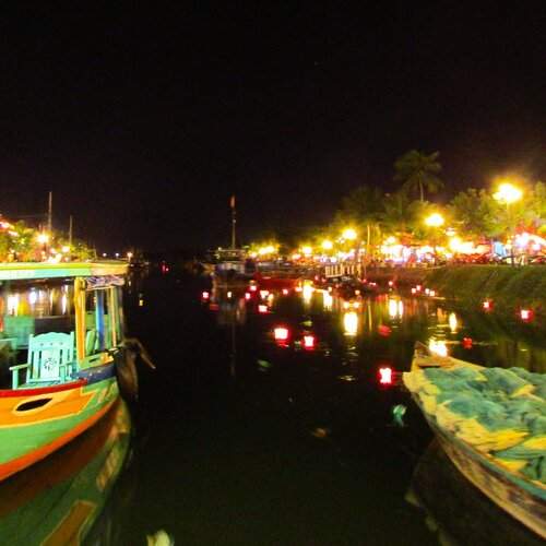 Life at night