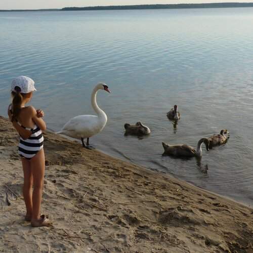 Photo #1203294