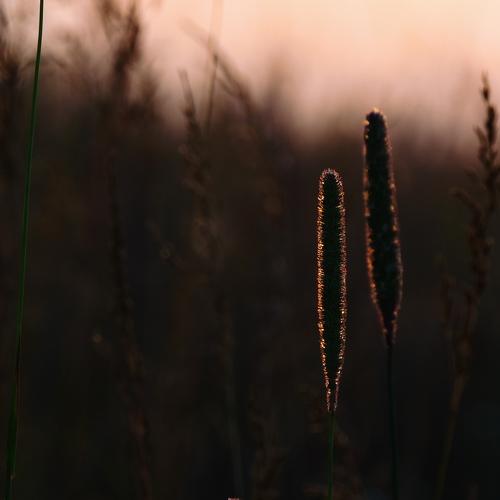 Photo #1203911