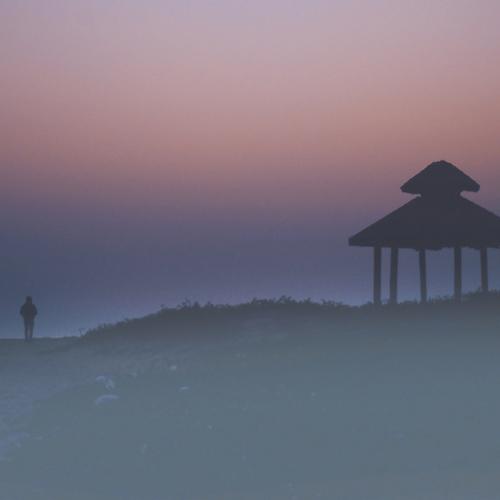 Alone in the fog