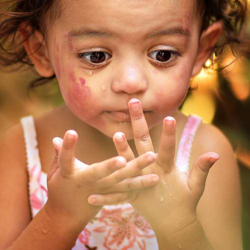Photo #12000276
