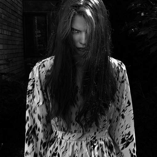 Photo #12000368