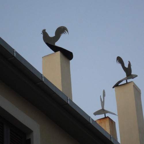 Photo #12000403