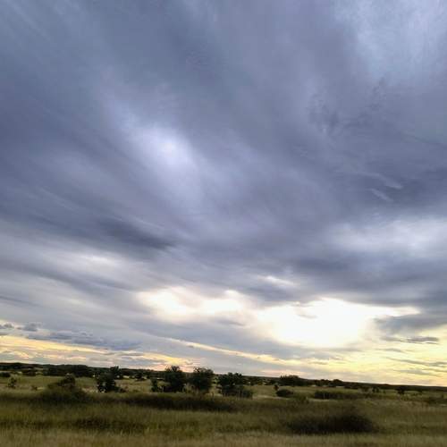 Photo #12000589