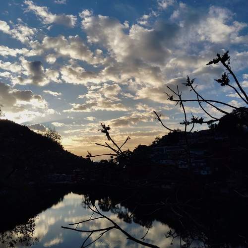 Photo #12000685