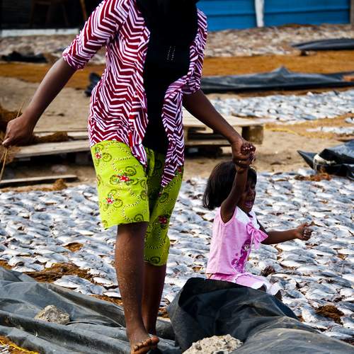 Photo #12000702