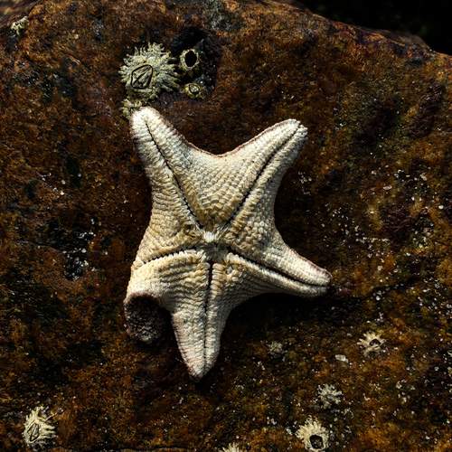 Photo #12000812