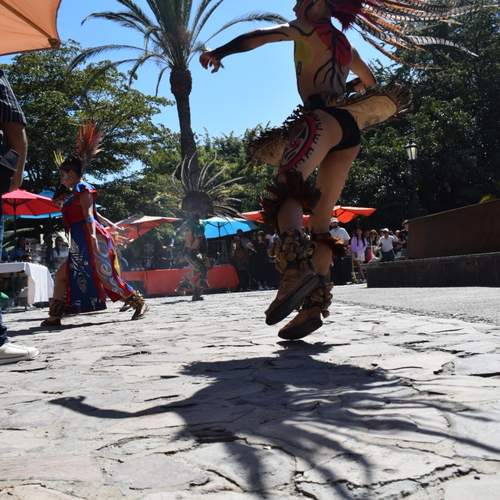Photo #12000875