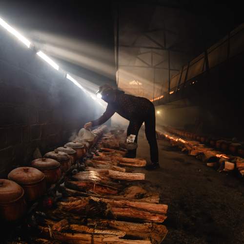 Photo #12000992