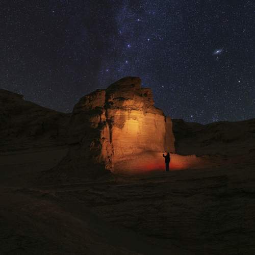 Photo #12001011