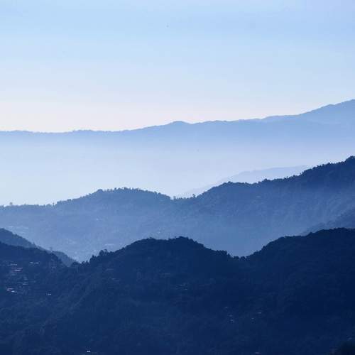 Photo #12001120