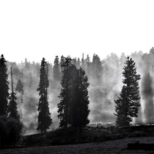 Photo #12001122