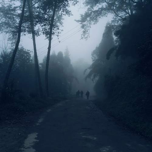 Photo #12001171