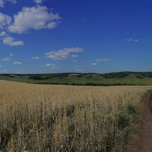 Photo #12001274