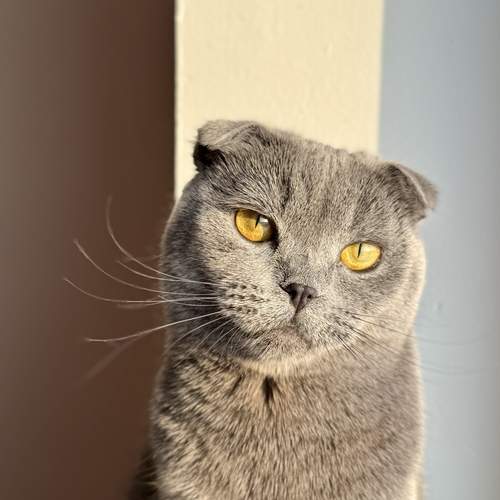Photo #12001585