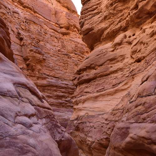 The Red Canyon