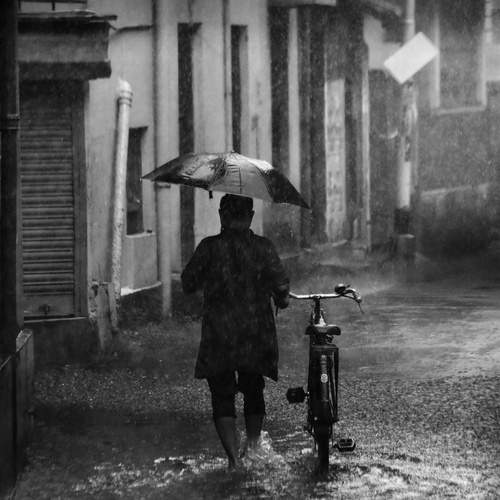 The Bicyclist