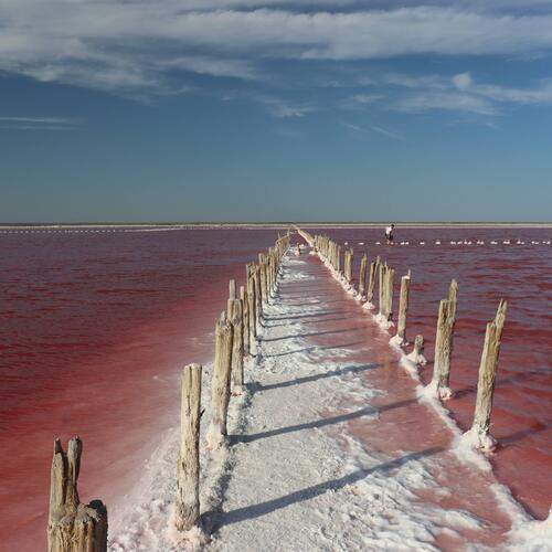 Photo #12002051