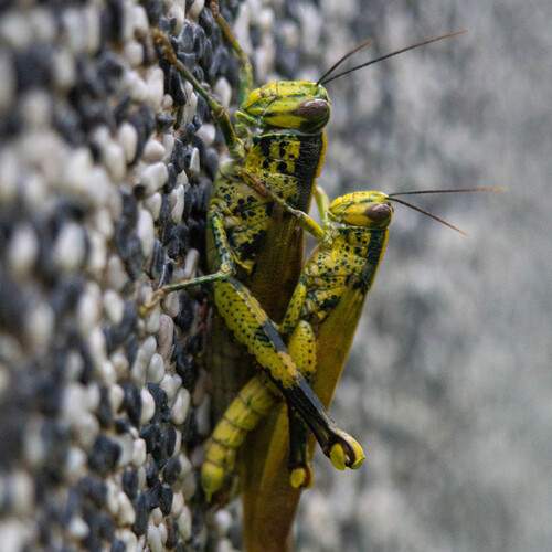 Photo #12002148