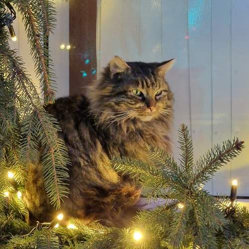 Photo #12002166