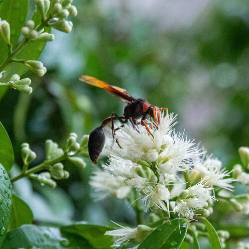 Photo #12002273