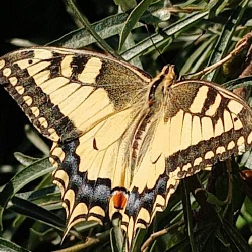 Photo #12002354