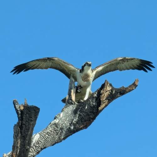 Photo #12002580