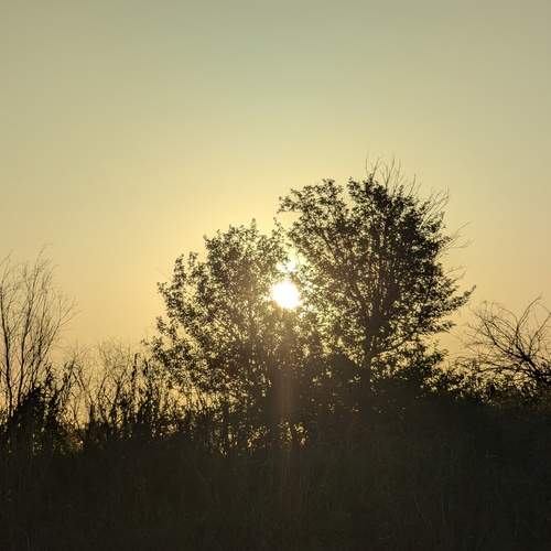 Photo #12002594